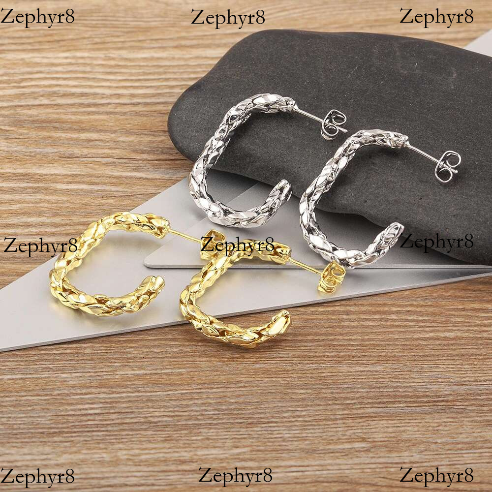 2025 New model Nidin Fashion Gold/Sliver Color C Shape Creative Design Earrings for Woman Retro Punk Hip Hop Metal Irregular Ear Jewelry Gift