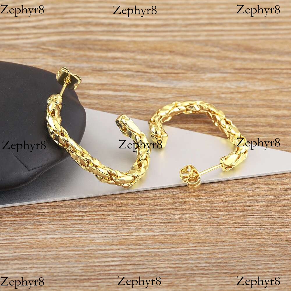 2025 New model Nidin Fashion Gold/Sliver Color C Shape Creative Design Earrings for Woman Retro Punk Hip Hop Metal Irregular Ear Jewelry Gift