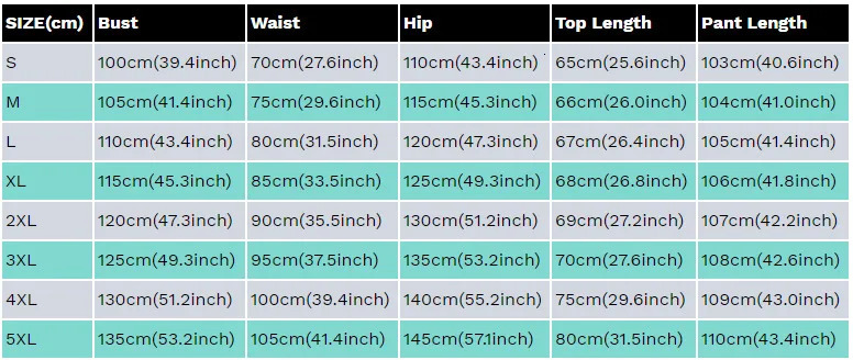 Sexy hollow two-piece pants set womens spring outfit stand collar lantern sleeve shirt pants set casual two-piece set 250314