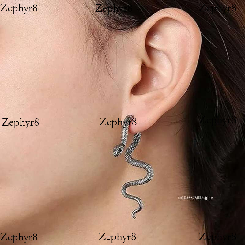 2025 model 2025 New Gothic Shape Hip Hop Punk Detachable Snake Jewelry Long Earrings for Women Girls Men 1Pair