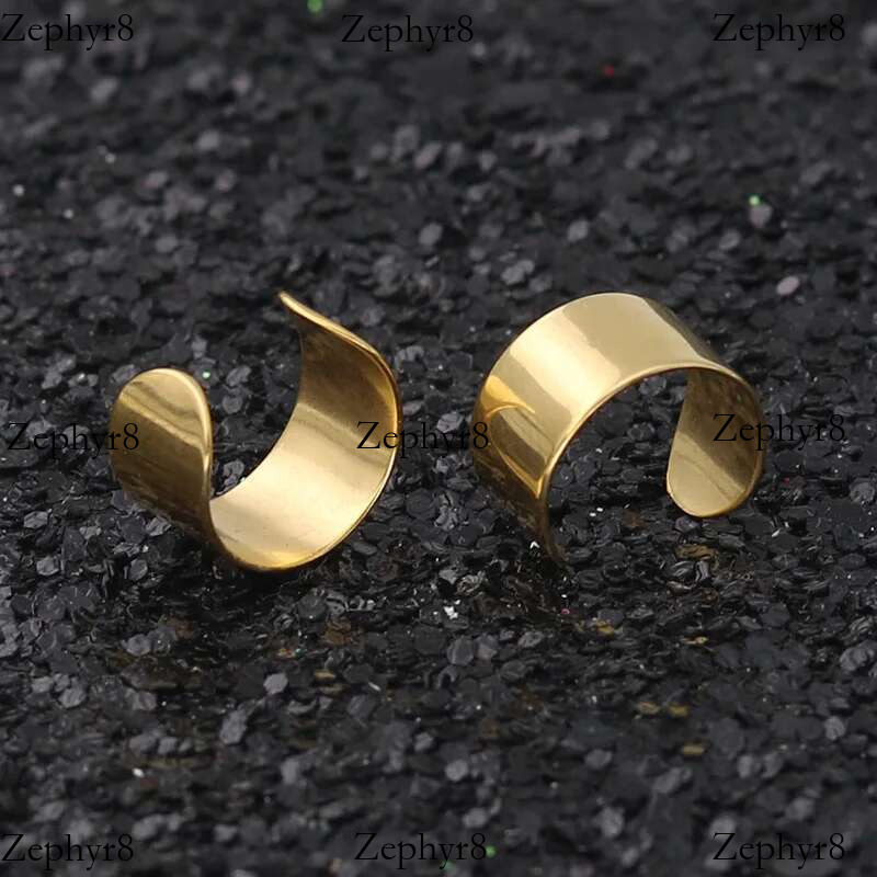 2025 New model Simple Creative Pierced Ear Cuffs Punk Stainless Steel Gold Sier Color Clip Women Men Hip Hop Earrings Brincos