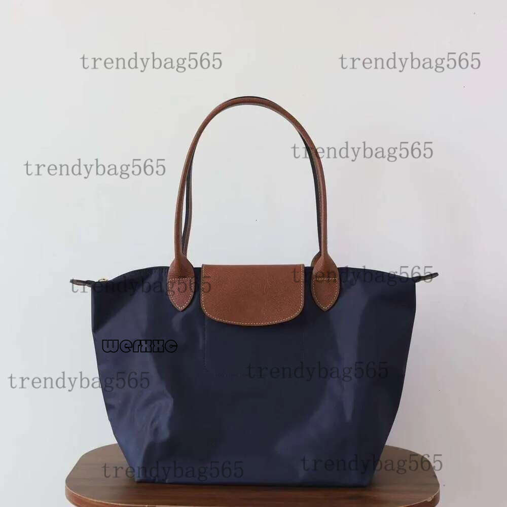 Free Ship Long Tote Bags Fashion Designer Handbags Lepilage Womens Handbag France Pairs High Quality Crossbody Clutch Totes Bag Longly Champness Bag