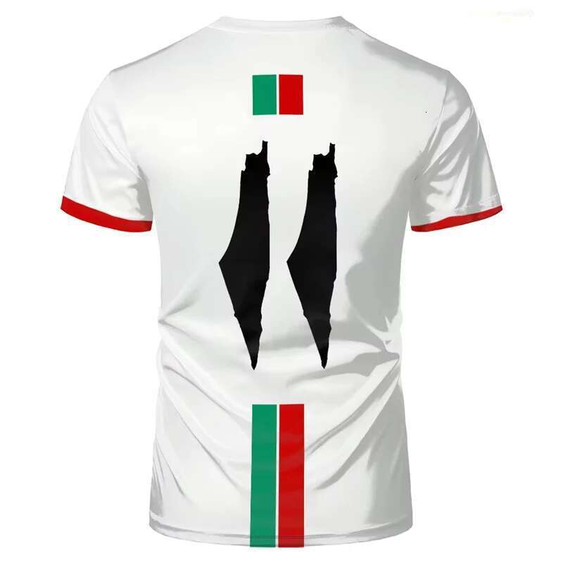 Palestine Football T-shirts Summer Fashion Short Sleeves Palestinian Flag 3D Printed Casual T-shirts Round Neck Loose Tops For Men T-shirts