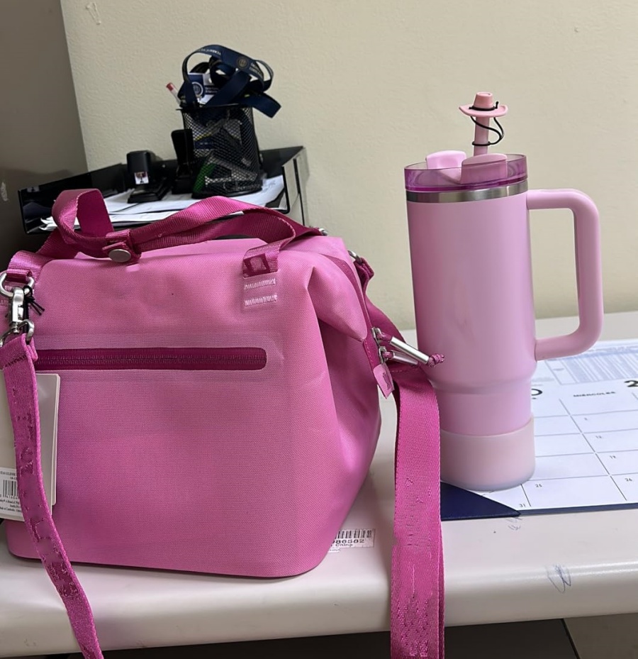 US Stock Lunch Bags All Day Julienne Mini Soft Cooler Bag and Lunch Box 10 Can Recycled Polyester Cream Fuchsia Black 0317