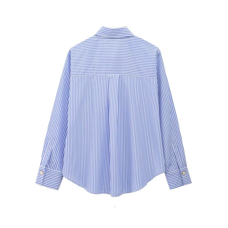 Womens Solid Color Long Sleeve Shirt with Pleated Loose at the Back Stylish textured 250311
