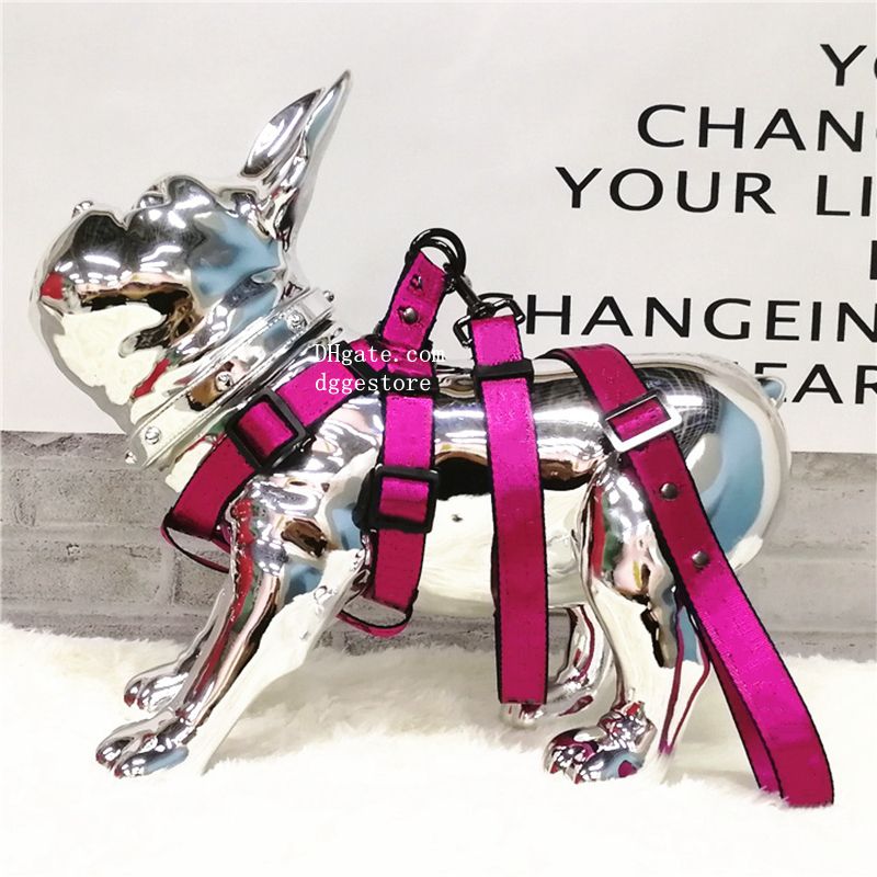 free shipping Designer Collars Leashes Step-in Harness Durable Nylon Leash for Small Medium Large Dogs Cat Golden French Bulldog Cool Fashion Pet Supp