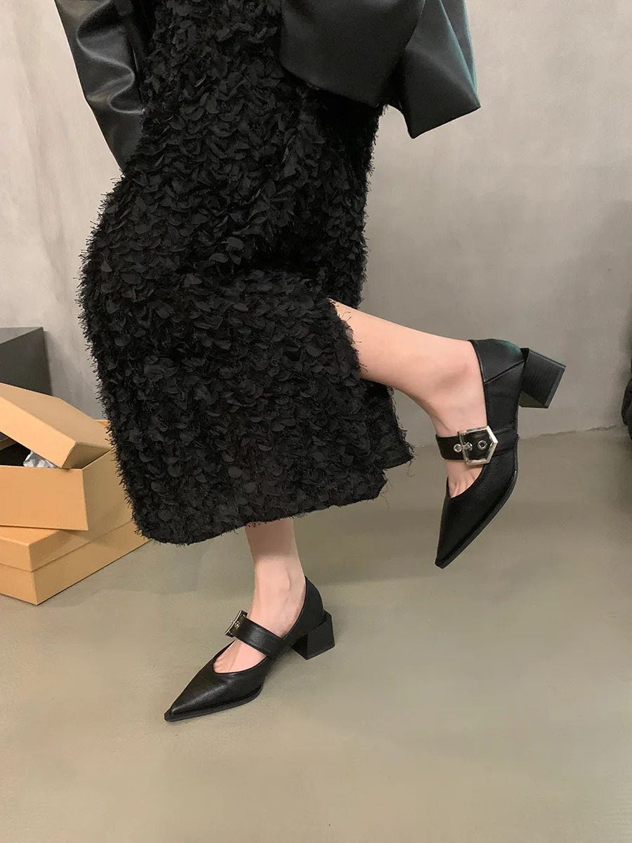 Retro Pointed Mary Jane Small Leather Shoes for Women Autumn and Winter Korean Version of Chunky Heel Loafers 250318