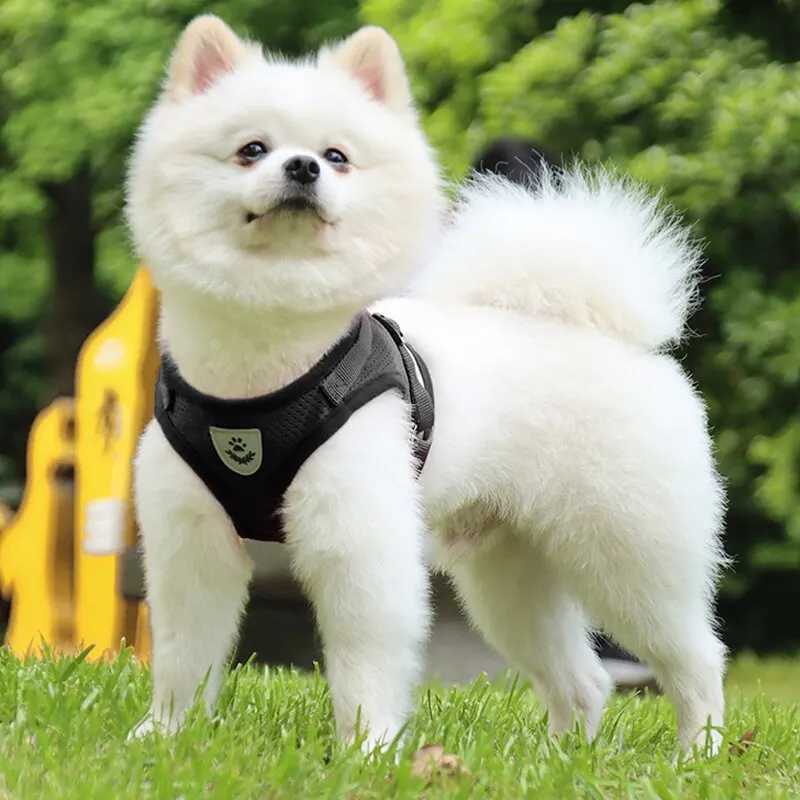 Pet Belt Underwear Type Strap Breathable Reflective Adjustable Chest Strap Outdoor Dog Carrying SuppliesT250318