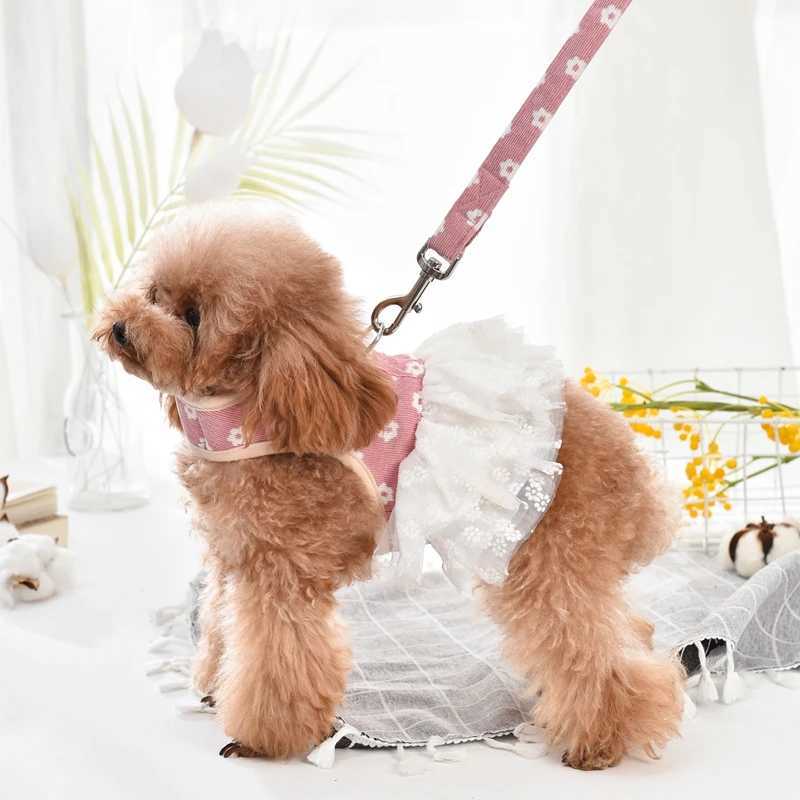 Luxury dog suit harness and belt set in 6 colors for girls boys pets puppies small animals Chihuahua collars walking lead productsT250318