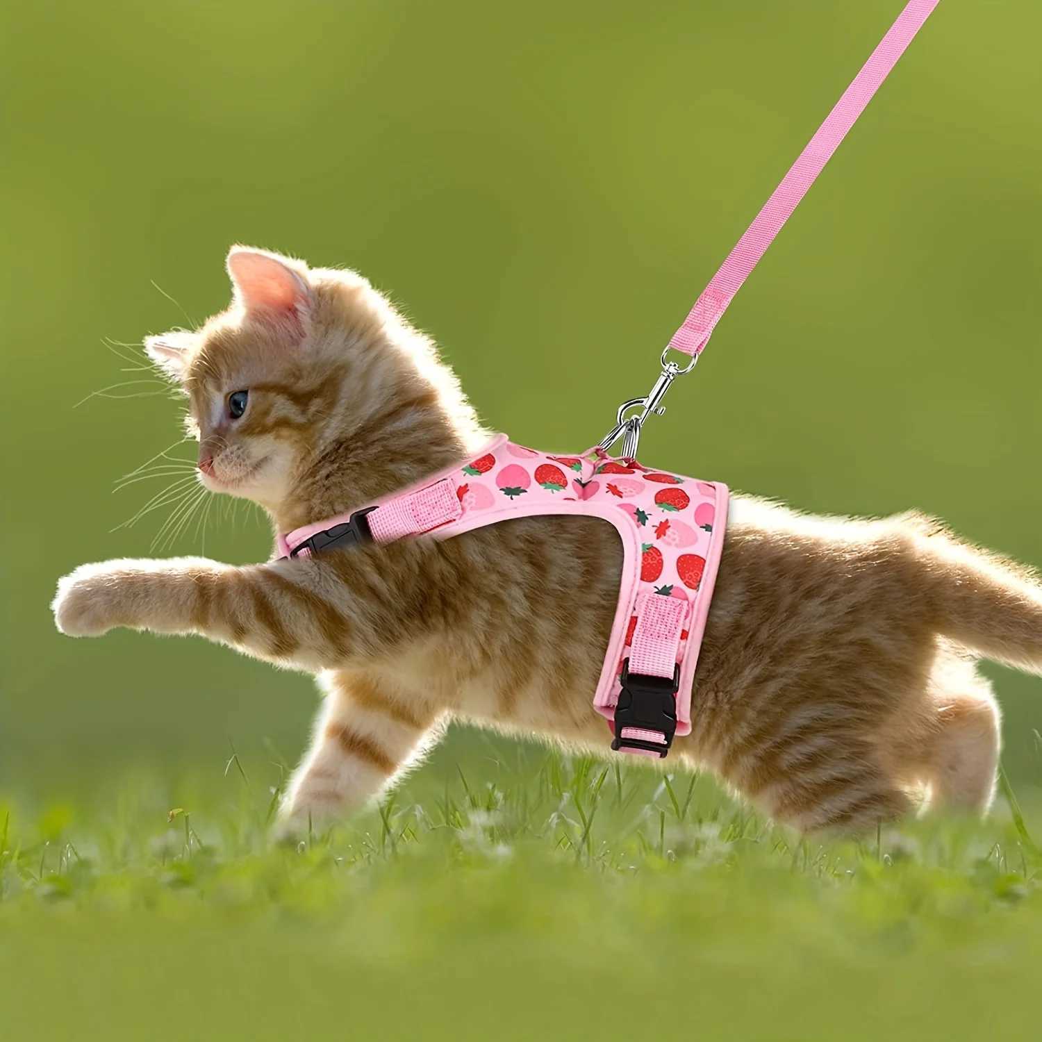 3-piece set of soft cat harness and belt collar pet harness suitable for walking cats dogs and small petsT250318