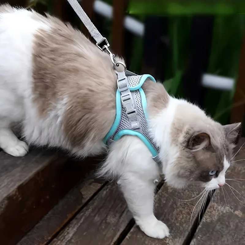 Cat Strap Set Adjustable Dog Collar for French Bulldog Strap Vest Puppy Chihuahua Pet Outdoor Walking Lead StrapT250319