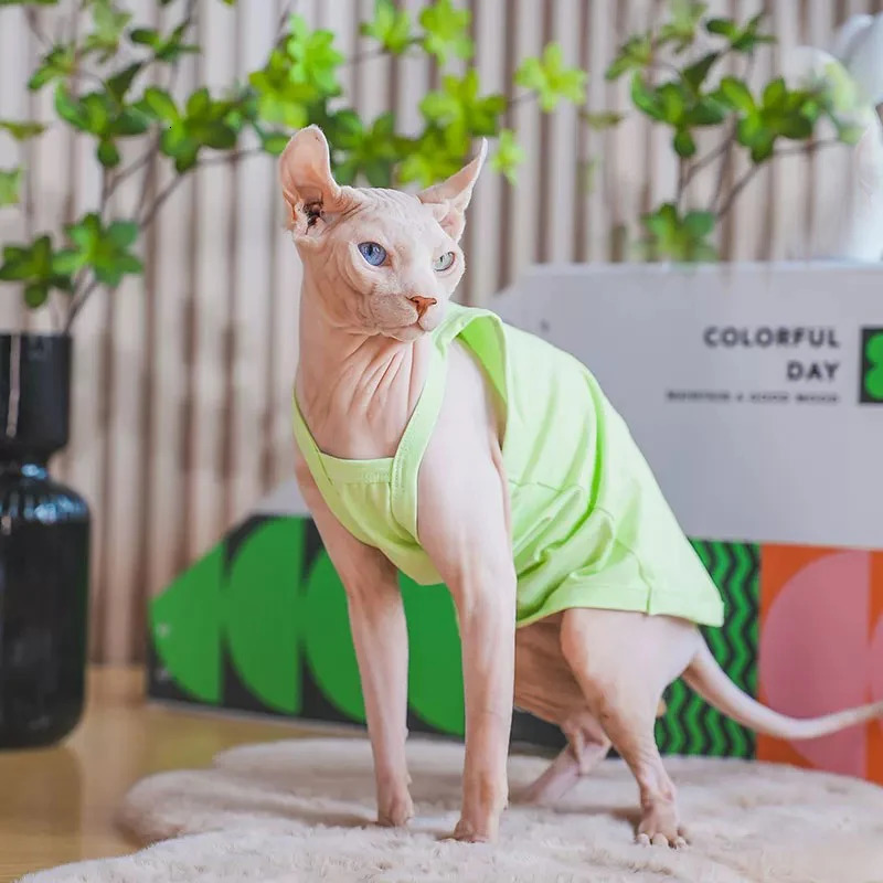 Solid Cat clothing Cotton Shirt for Sphyinx Soft Cute Sweety Suspenders Vest For Kittens Coat in Spring Summer Outwear 250318
