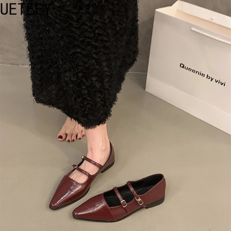 Pointed Toe Women Mary Jane Shoes Fashion Shallow Buckle Shoes Ladies Casaul Dress Low Heel Leather Shoes 250318