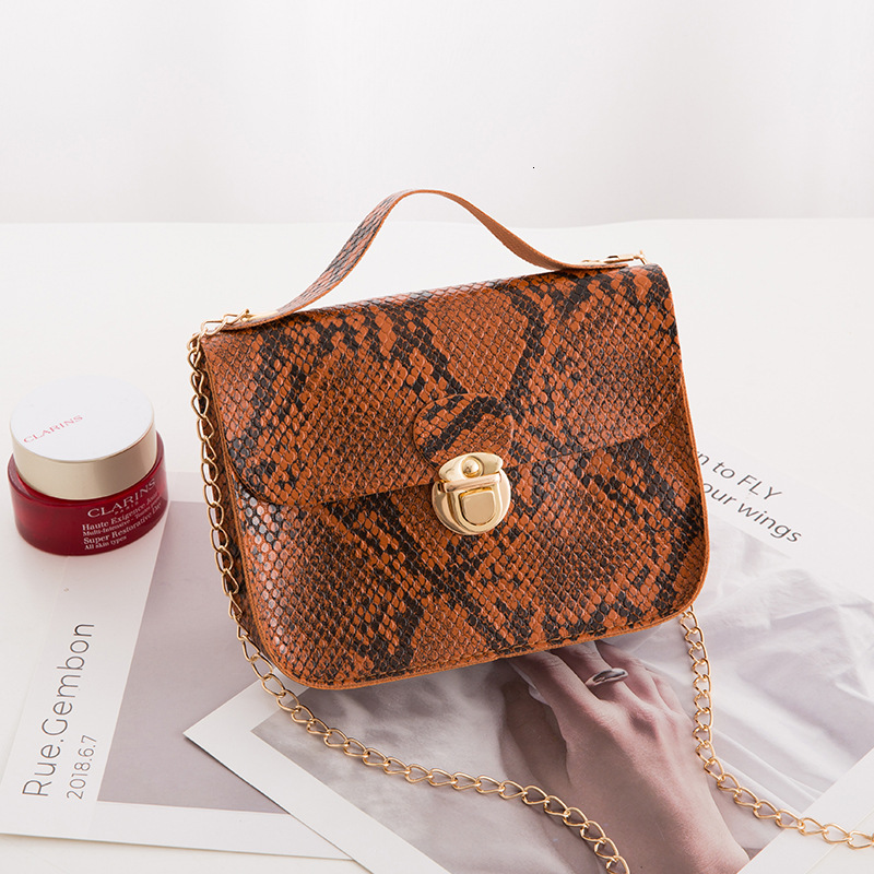 Fashion Designer Women s Mini Handbag Avant garde Snake Pattern Single Shoulder Chain Crossbody Bag 2025 New Metal Buckle Casual Crossbody Bag Wallet 