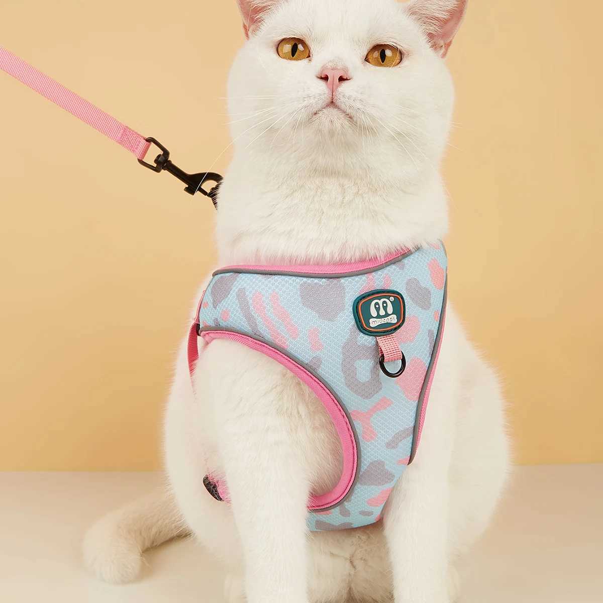 New Arrives Adjustable Soft Mesh With Fashionable Design Pet Harness And Leash SetT250318