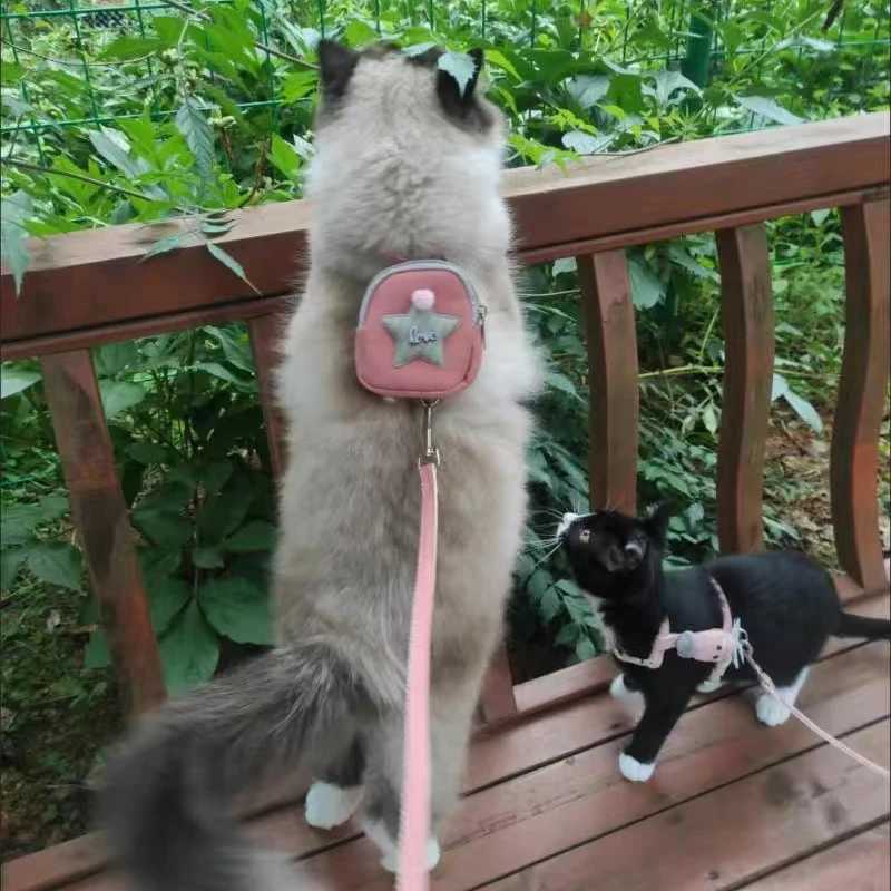 Fashionable cat and dog harness and belt set suitable for cat puppy cartoon printed pet harness backpack kitten rope accessoriesT250318