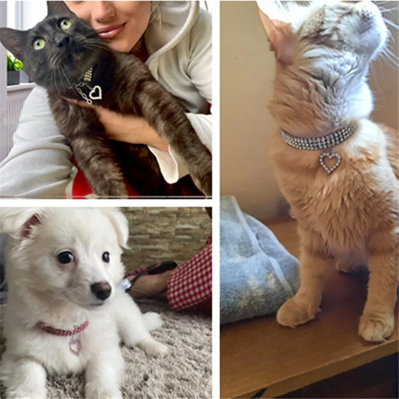 cat and dog collar with three rows of elastic rhinestones pet love decoration necklace puppy kitten supplies 250318