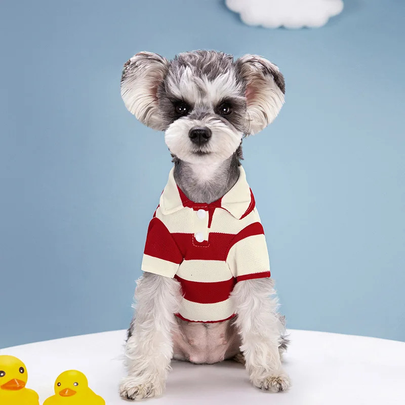 Pet dog polo shirt summer clothing casual small cat Tshirt Chihuahua puppy Yorkshire 250318