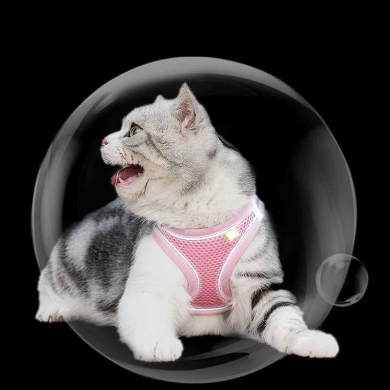 Leak proof cat harness and belt set adjustable mesh dog harness vest small dog pet walking LED belt small dog cat XXST250318