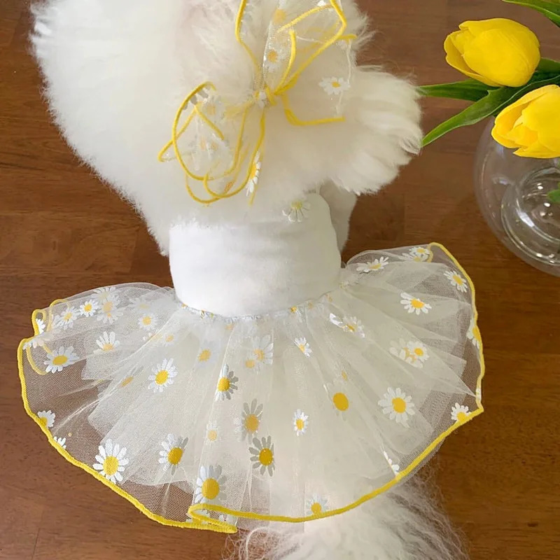 Cute pet dog dress suitable for puppies thin princess leather summer clothing ChihuahuaYork supplies 250318