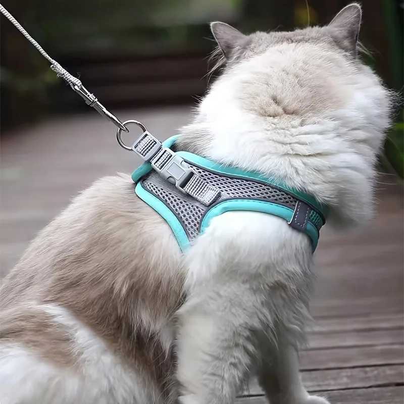 Cat Strap Set Adjustable Dog Collar for French Bulldog Strap Vest Puppy Chihuahua Pet Outdoor Walking Lead StrapT250319