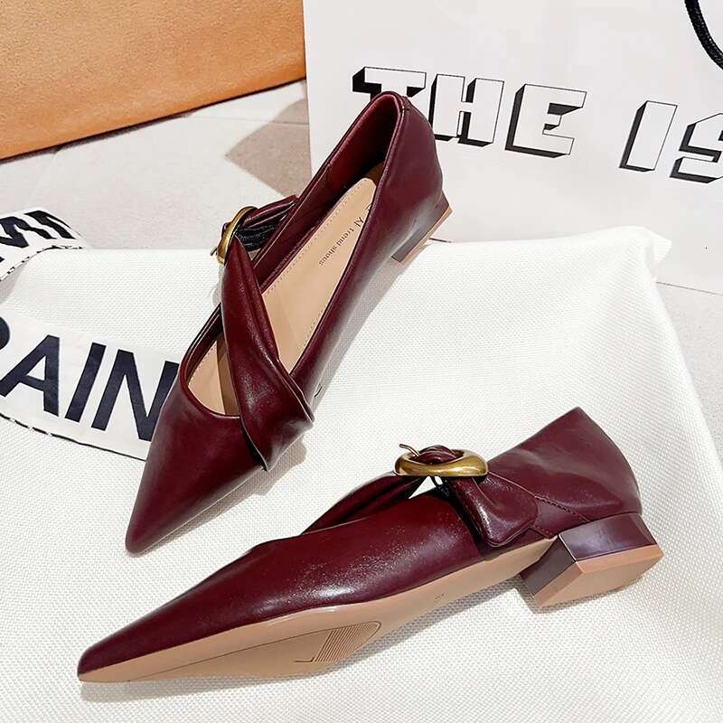 2025 Spring Vintage Women Pointed Toe Mary Jane Fashion Shallow Thick Heel Wedding Party Shoes