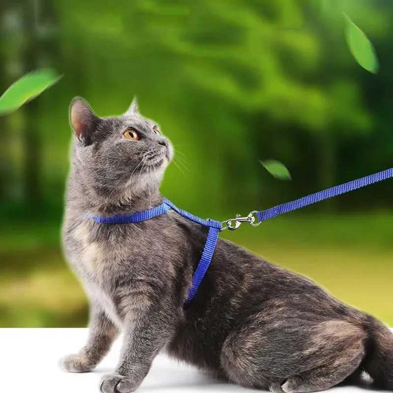 Lightweight adjustable cat harness and belt set leak proof kitten collar for hiking small animal puppy harnessT250318