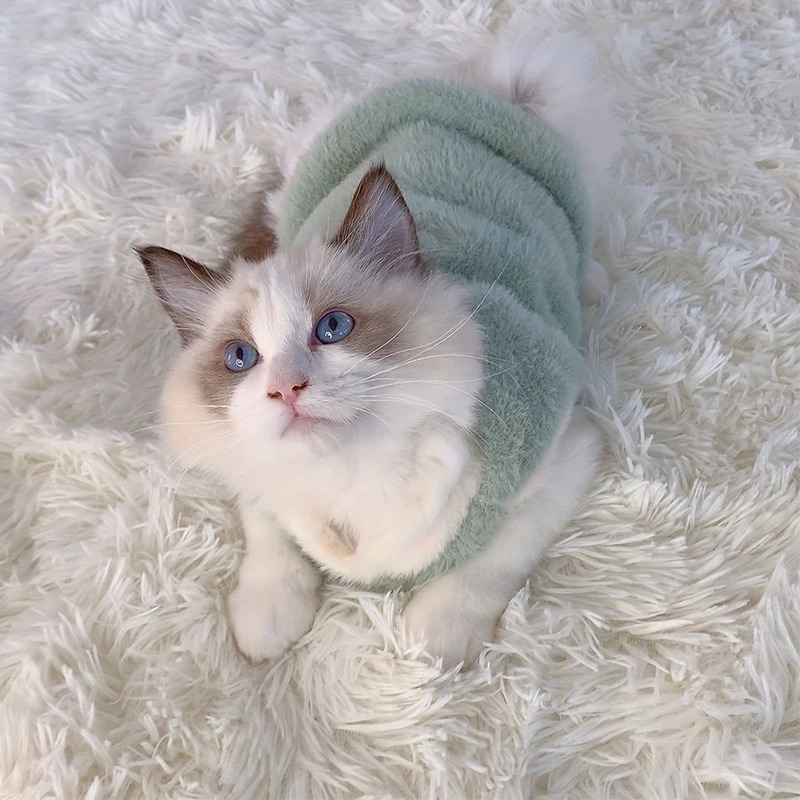 Cat Accessories Pet Warmth Kitten Winter Clothing Items Cool Clothes Dog Sweater Tank Top 250318