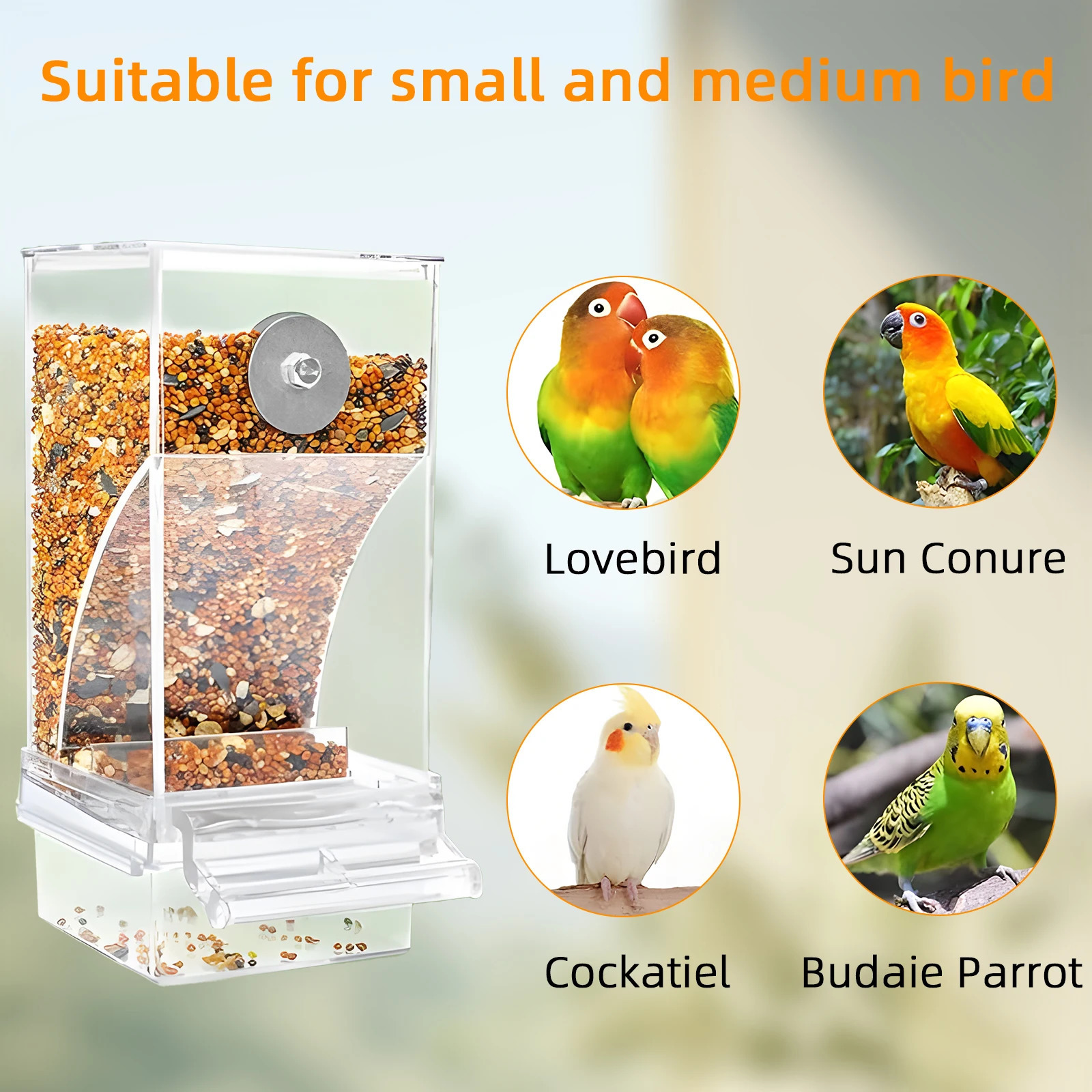 Wolinpet chaos free automatic bird feeder transparent food container cage acrylic parrot accessories 250318