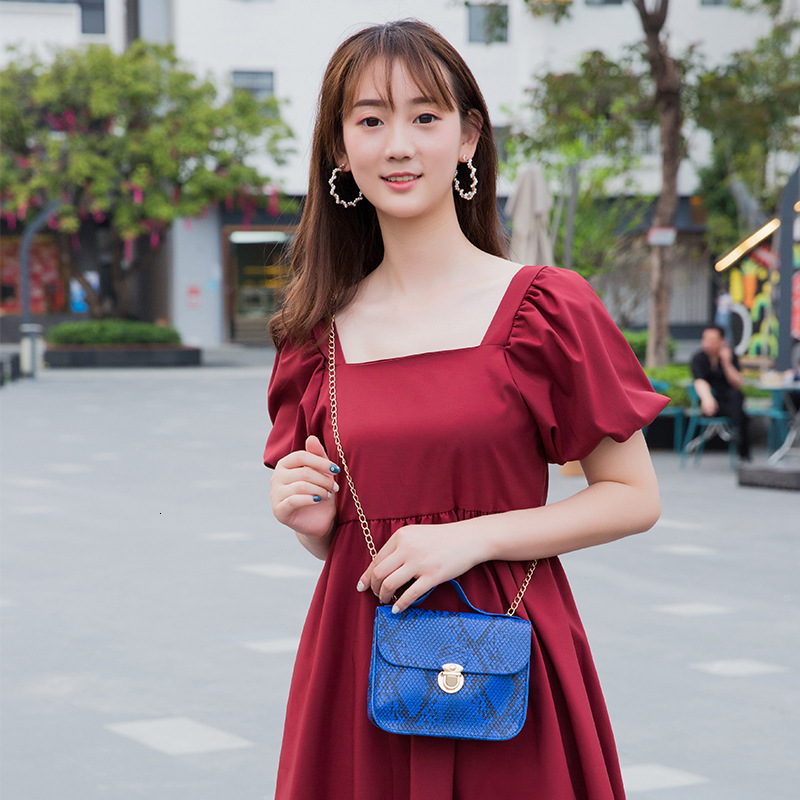 Fashion Designer Women s Mini Handbag Avant garde Snake Pattern Single Shoulder Chain Crossbody Bag 2025 New Metal Buckle Casual Crossbody Bag Wallet 