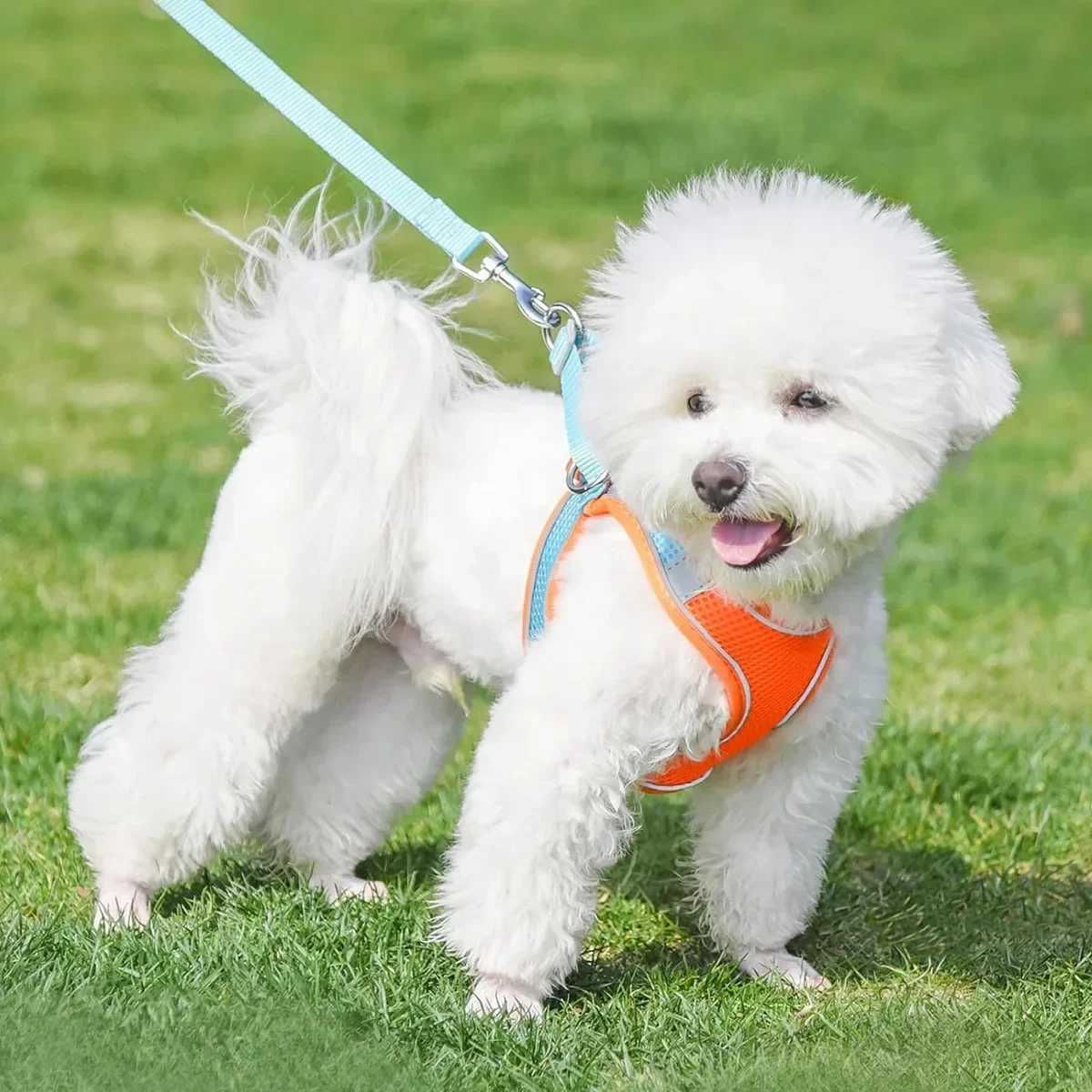 Pet Cat Harness Lead Leash Set Reflective Adjustable Puppy Vest Harness Cats Small Medium Dogs Outdoor Walking Cat AccessoriesT250318