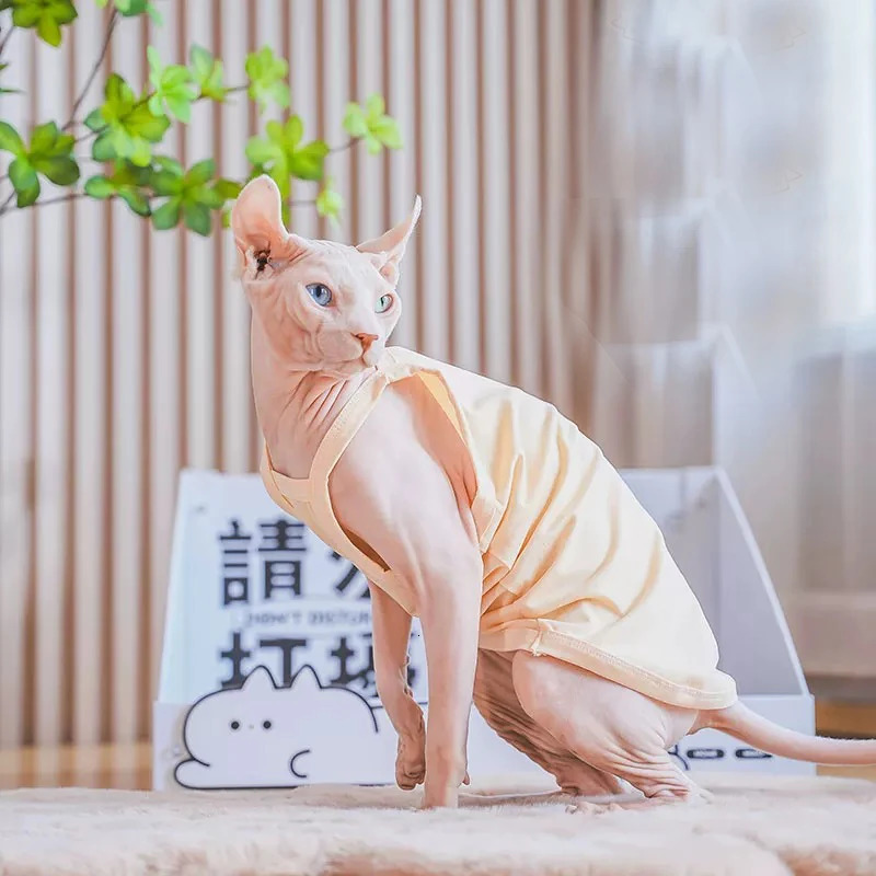 Solid Cat clothing Cotton Shirt for Sphyinx Soft Cute Sweety Suspenders Vest For Kittens Coat in Spring Summer Outwear 250318