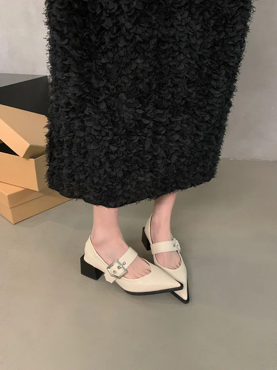 Retro Pointed Mary Jane Small Leather Shoes for Women Autumn and Winter Korean Version of Chunky Heel Loafers 250318