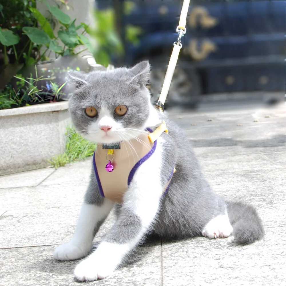Pet cat harness vest strap with adjustable pet harness and bell walking strap suitable for cats dogs small and medium-sized dogs imitation leatherT250