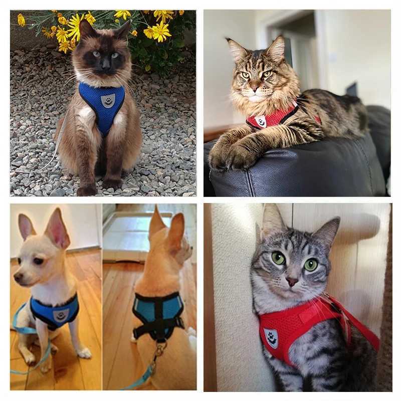 Cat harness adjustable vest walking rope set suitable for dog collars breathable mesh harness suitable for small and medium-sized cats and dogs pet le