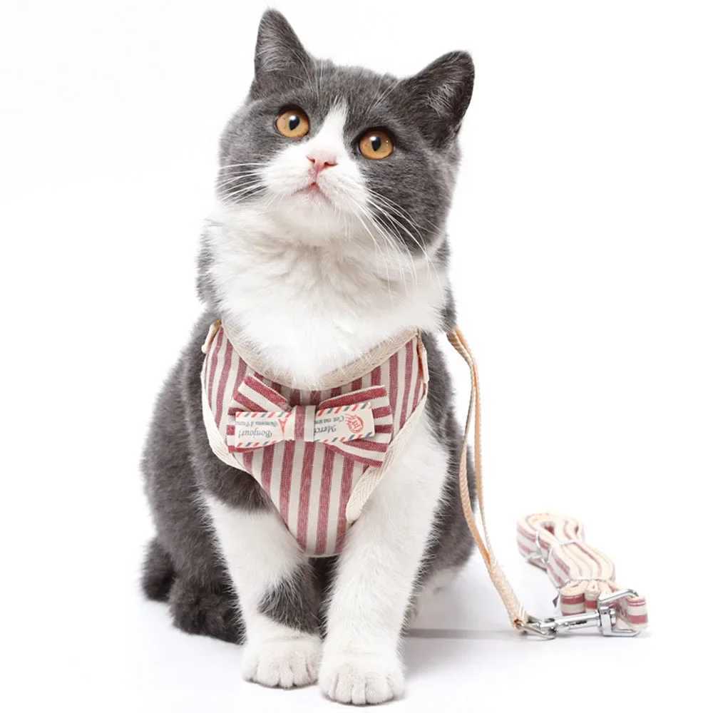 Cute dog and cat harness and belt set nylon mesh pet dog harness LED cat collar clothing vest for small cats and kittens pet suppliesT250318