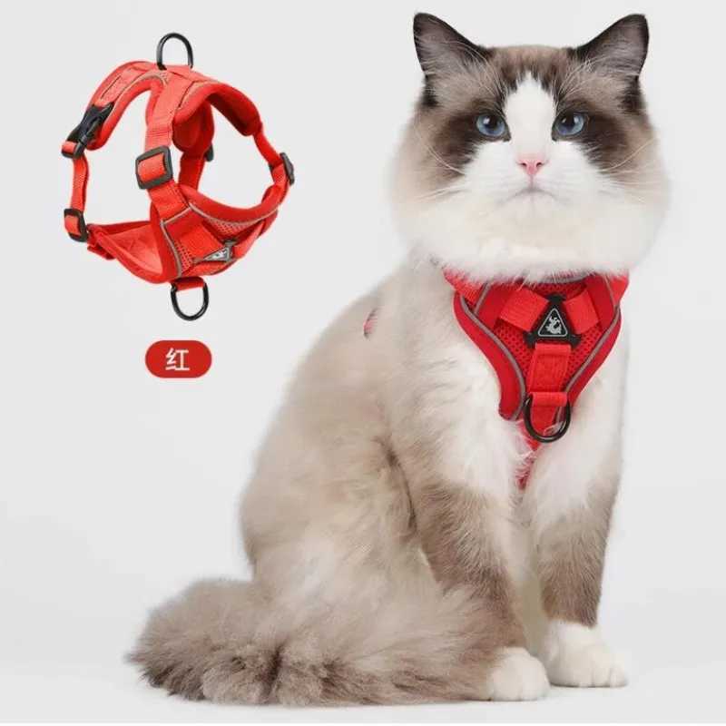 Fashionable Reflective Cat Strap and Belt Set Breathable Mesh Pet Strap Suitable for Puppies Cats Kitten Accessories Collier ChatT250318