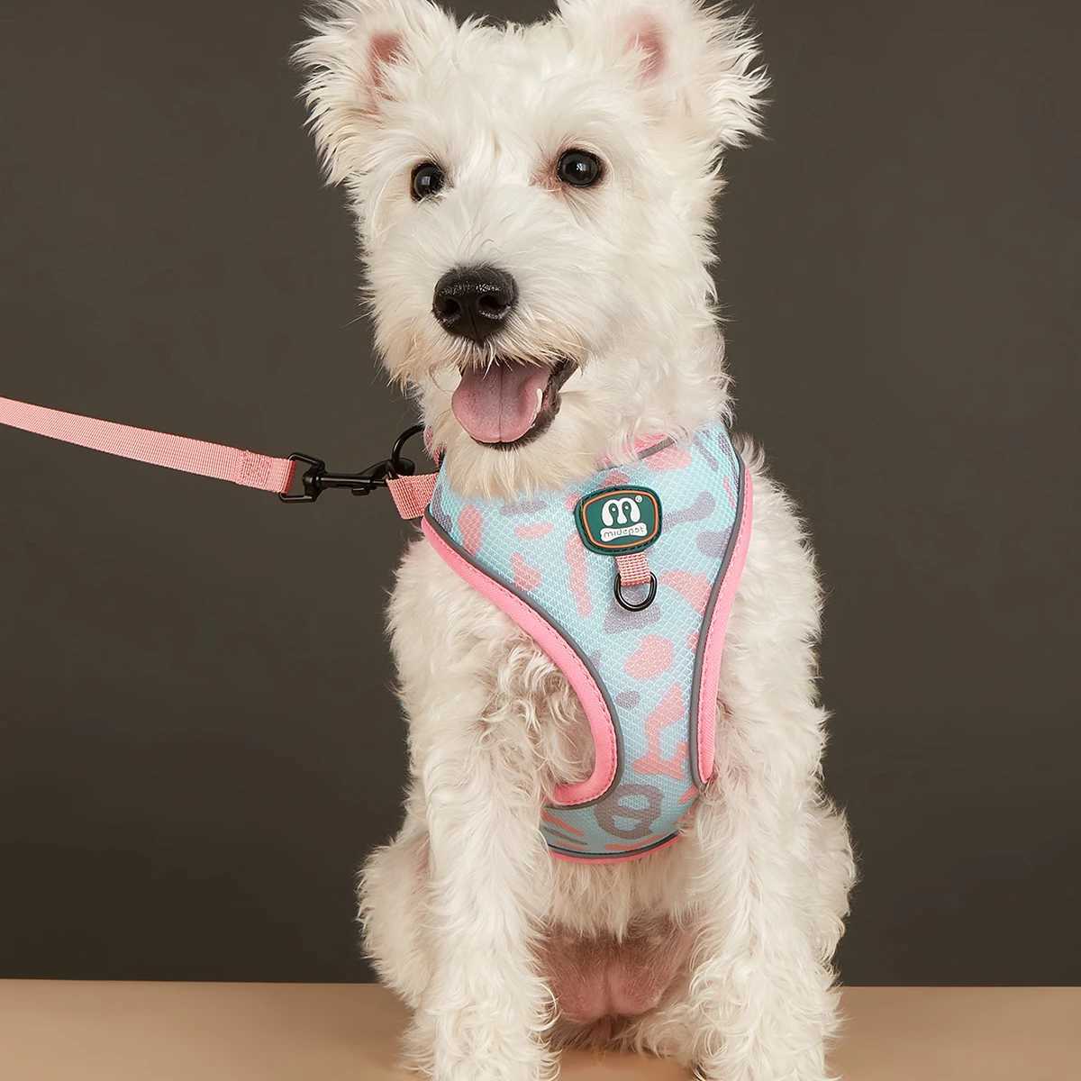 Newly launched adjustable soft mesh stylish design pet harness and belt setT250318