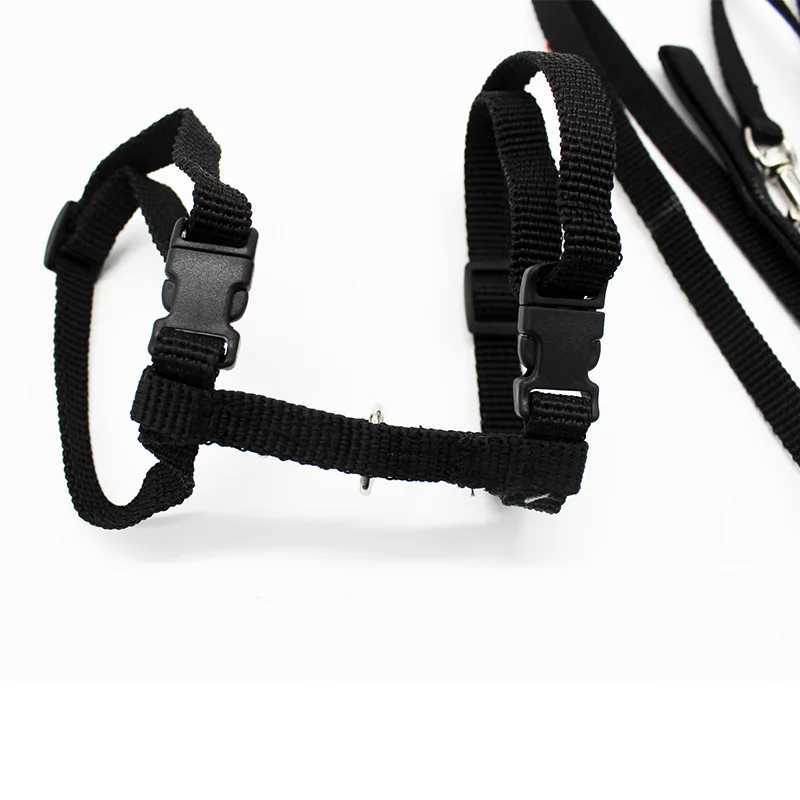5 adjustable pet cat collars in 5 colors suitable for cats comfortable nylon rabbits kittens Kedi seat belts and pet accessoriesT250318