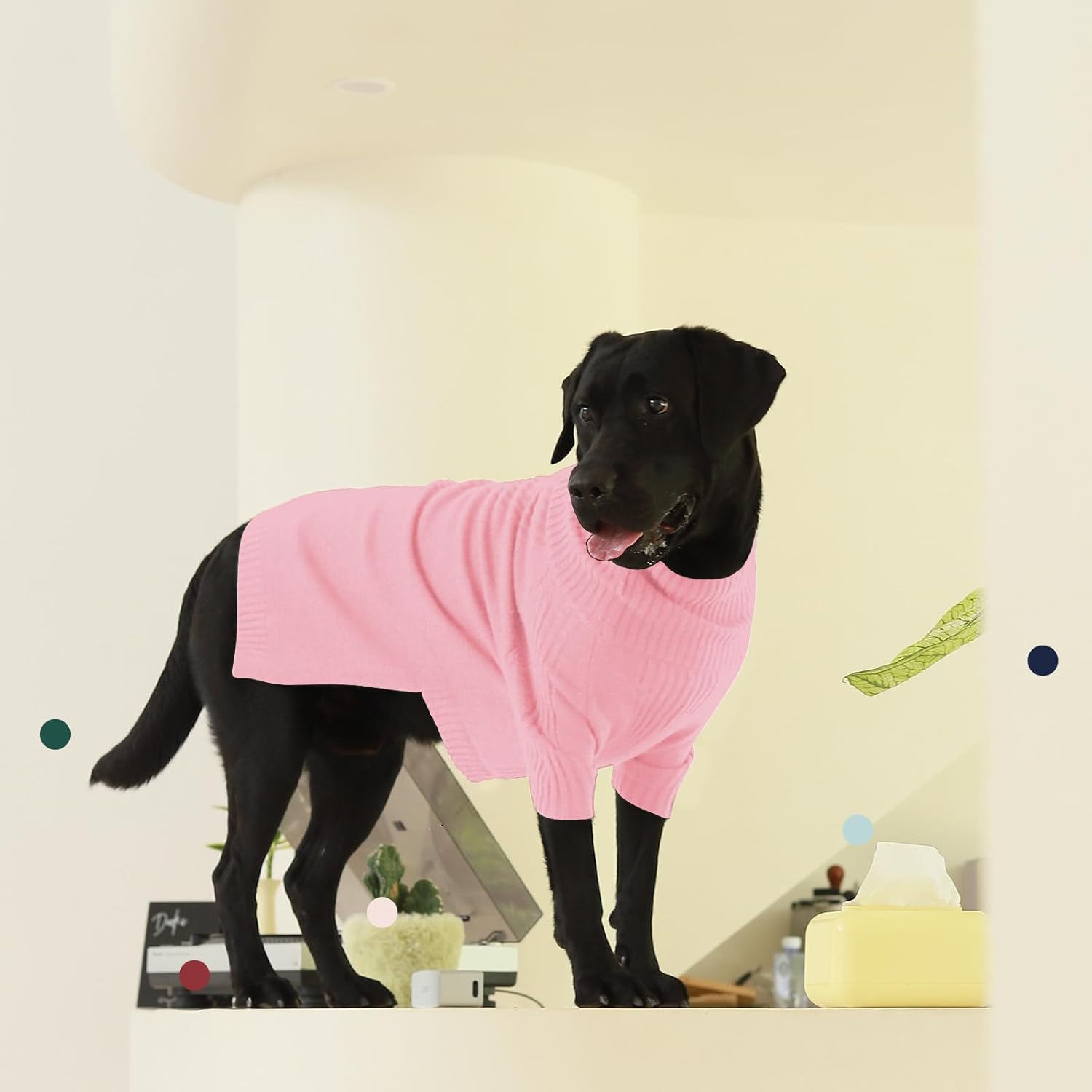 Designer Dog Clothes Brand Dog Apparel Warm Dogs Sweater With Classic Letter Pattern Winter Puppy Sweatshirts Soft Coat for Small Doggy Pet Clothing