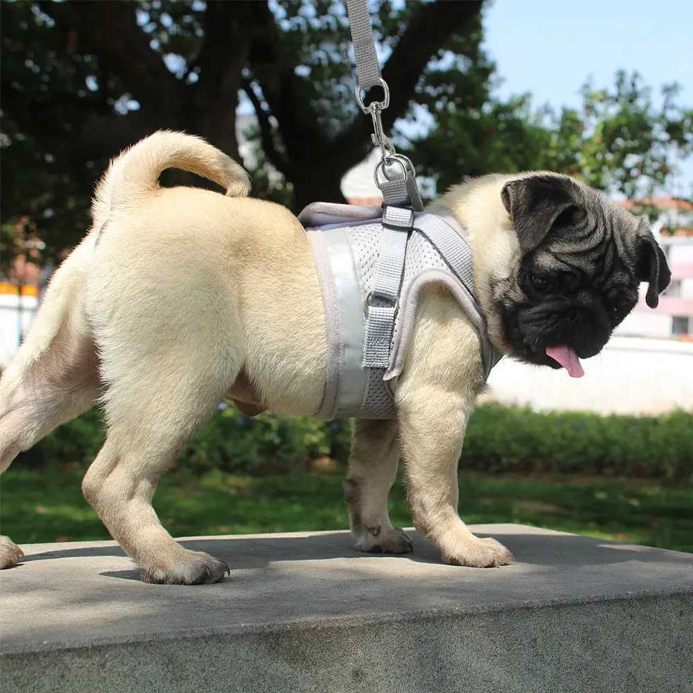 Cat Harness and Leash Set Reflective Kitten Puppy Dogs Jacket Mesh Pet Clothes For Small Dogs Pet Chihuahua Yorkies PugT250318