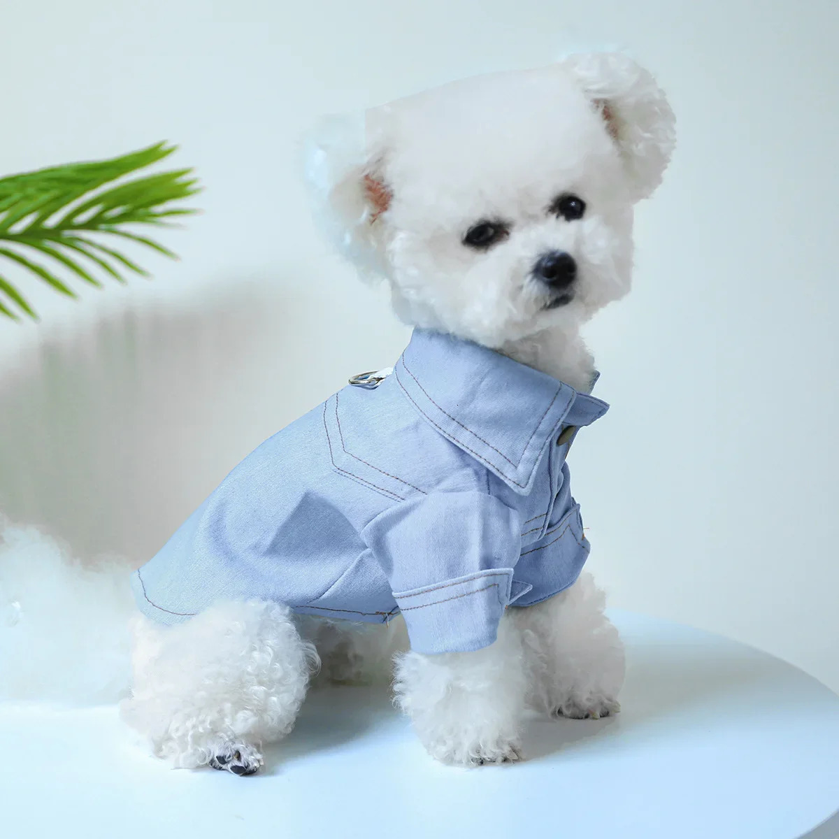 Dog Jeans Summer Shirt Denim Autumn Tshirt Small Medium Puppy Wear Cat Cool 250318
