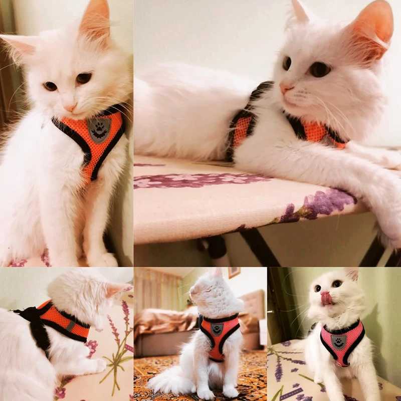 Cat Strap Set Suitable for Small Dogs Adjustable Puppies Cat Strap Vests French Bulldogs Chihuahua Puppies Outdoor Walking Lead StrapsT250318