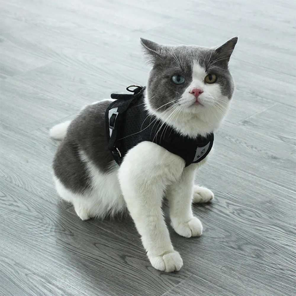Reflective cat harness and belt set nylon mesh cat and dog vest harness LED pet clothing for small dogs and bulldogsT250318