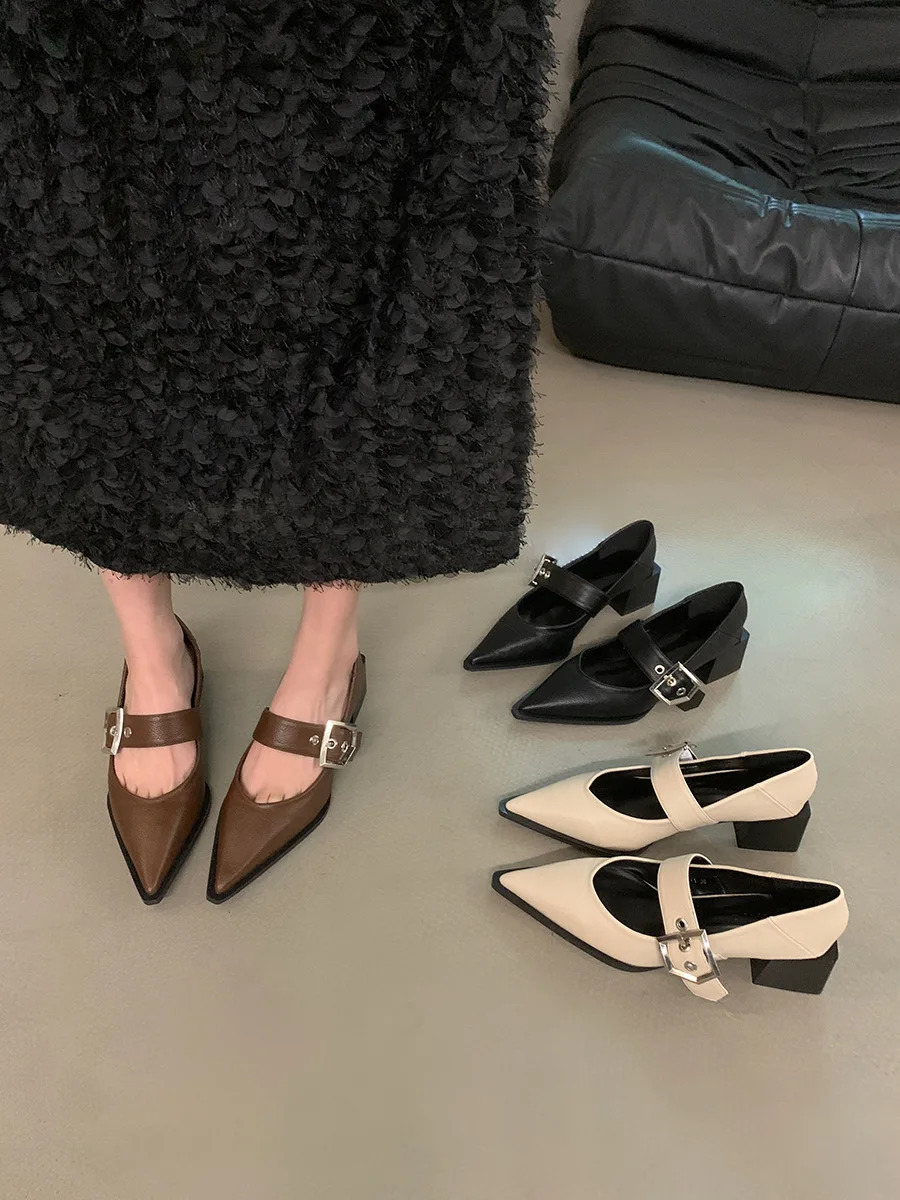 Retro Pointed Mary Jane Small Leather Shoes for Women Autumn and Winter Korean Version of Chunky Heel Loafers 250318