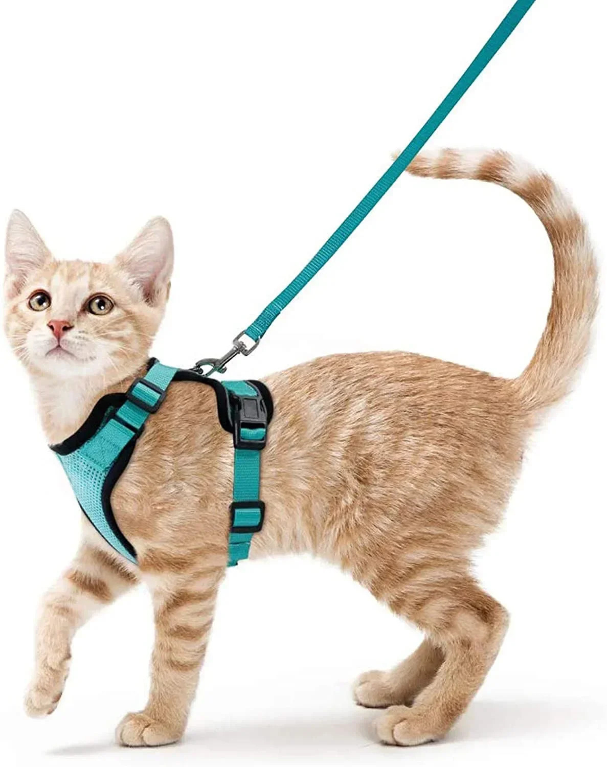 Cat straps and belts for walking leak proof soft adjustable vest cats EasyControl 250318