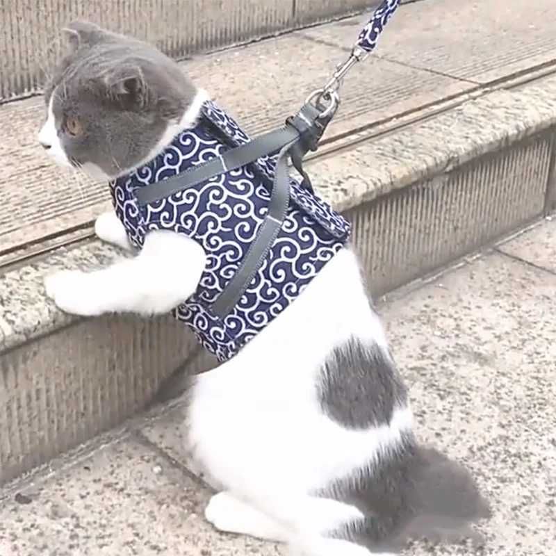 The most popular pet supplies are cat leashes walking cat vests breathable pet chest straps and easy to carry and wear cat leashesT250318