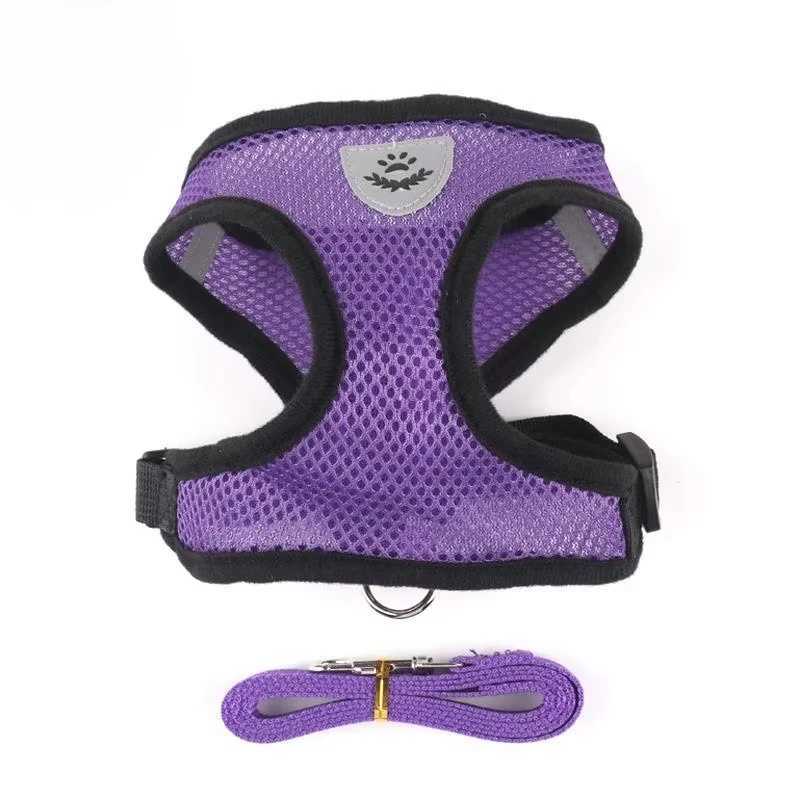 Polyester mesh breathable cat and dog harness with adjustable vest and lead strap suitable for small dog and cat accessoriesT250318