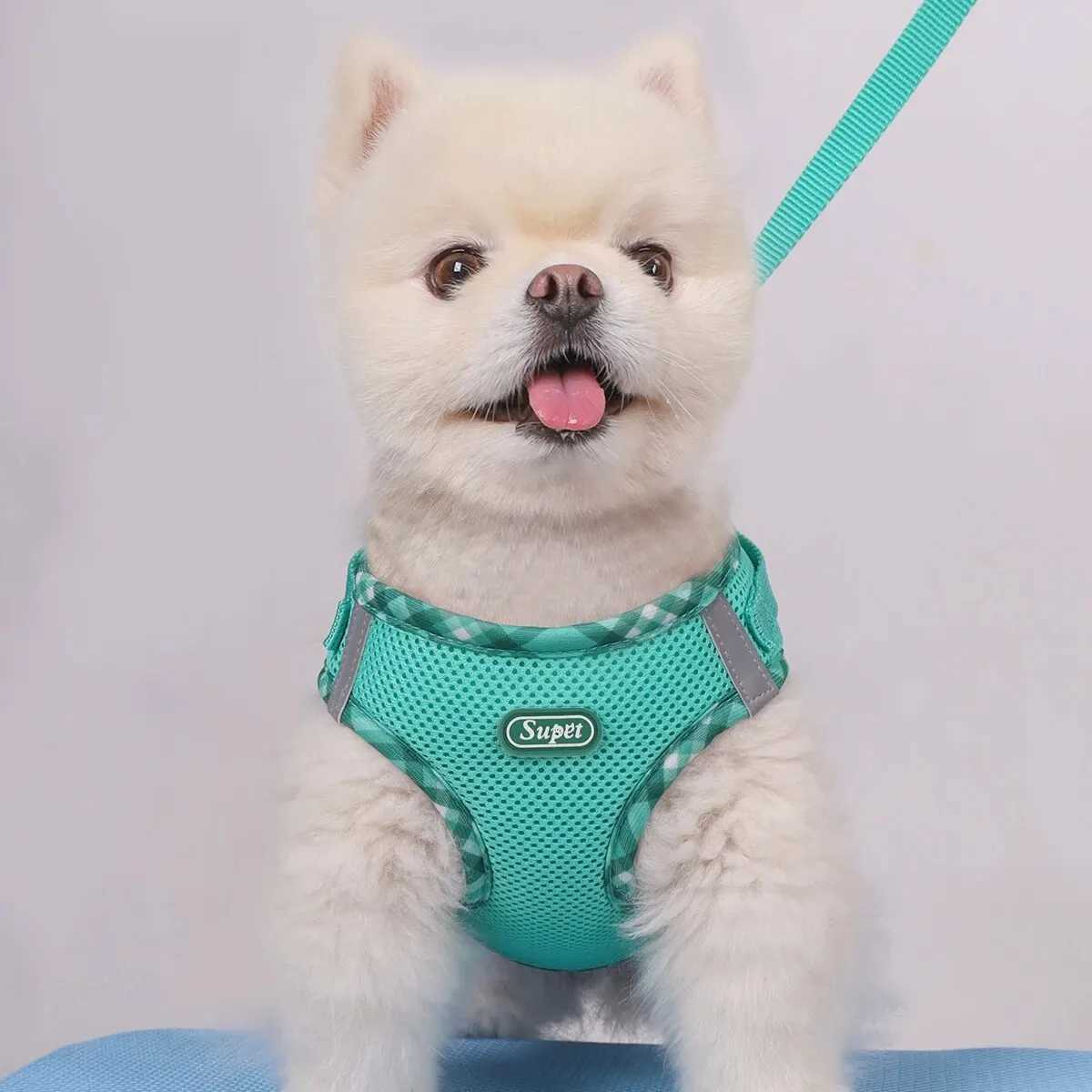 Supet 1 piece dog harness anti pull pet harness adjustable easy to control suitable for small and medium-sized dogsT250318