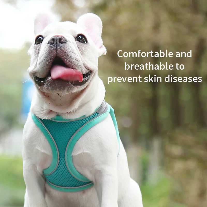 Dog Strap Set Suitable for Small Dogs Adjustable Puppies Cat Strap Vests French Bulldogs Chihuahua Puppies Outdoor Walking Lead StrapsT250319